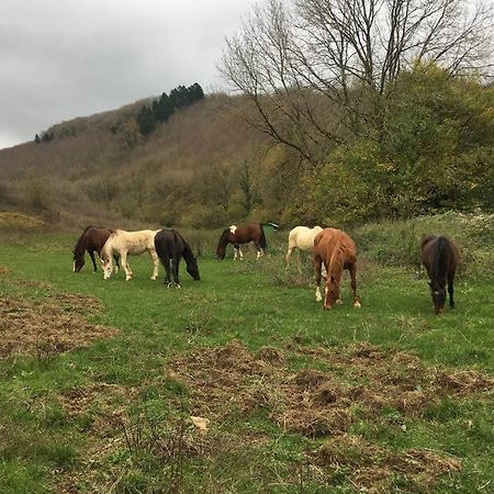 Le Hameau De Sylvanes Dış mekan fotoğraf